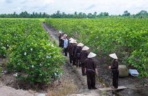 Mekong Life and Local Secrets Experience