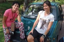Anuradhapura and Mihintale Heritage Tour with Mini Car