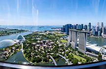 Singapore Flyer Observation Wheel Ticket