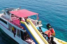 Half-Day Snorkeling Experience in the Kerama Islands from Naha