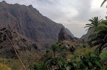 Premium Tour : Discovery (Masca, Punta de Teno and Garachico)