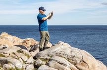 Private Cabot Trail Scenic Tour for Cruise Ship Guests