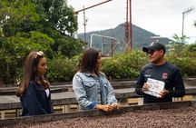 Ataco Coffee Tour with Casa 1800 Breakfast & Coffee Tasting