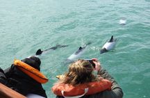 Full Day Lower Chubut Valley Tour Gaiman Trelew and Rawson