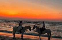 Bali Horse Riding Sunset
