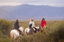 6 Days Mendoza Private Guided Tour