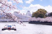 Osaka Afternoon Walking Tour: Osaka Castle & River Cruise