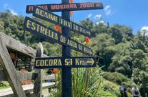 Cocora Valley : 10 km Nature and Forest Hike