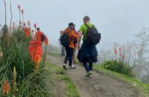 Cocora Valley : 10 km Nature and Forest Hike