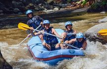 All Inclusive Ubud White Water Rafting Adventure