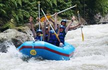 All Inclusive Ubud White Water Rafting Adventure
