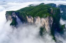 1-Day Private Avatar & Forest Park Tour: Bailong VIP Fast Track