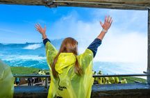 Niagara Falls Feel the Mist Night Tour: Journey & Firework Cruise