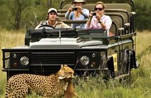 A 1-Day Nyerere National Park(Selous )Fly-in Safari from Zanzibar