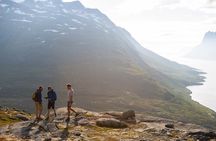 Private Fjord Tour to Sommaroy from Tromso