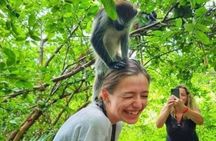 Jozani Forest ,Kuza Cave,Paje beach&the Rock Private Tour