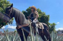 Guadalajara Tequila Tastings Tour