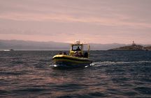 Victoria Sunset Zodiac Boat Whale Watching Adventure