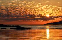 Victoria Sunset Zodiac Boat Whale Watching Adventure