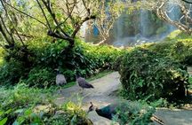 Visit Dantewada(The Angel Land), Wat Ban Den, Sticky Waterfall