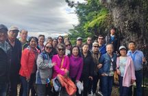 Small-Group Ketchikan Sightseeing Tour