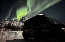 Lofoten Northern Lights Hunt Guided Tour from Svolvær