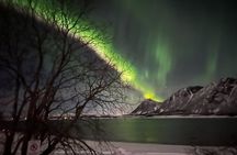Lofoten Northern Lights Hunt Guided Tour from Svolvær