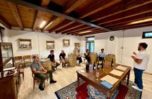 Vineyard Tour and 5 Wine Tasting in the Bardolino Hills