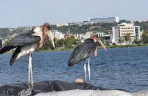 Mwanza Introduction Walking Tour