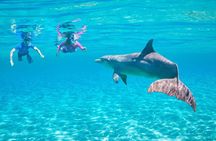 VIP Dolphin House Boat Trip with Snorkeling & Lunch – Hurghada