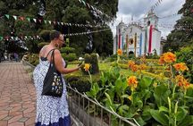 Mitla Teotitlan and Tule Private Tour