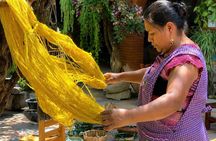 Mitla Teotitlan and Tule Private Tour
