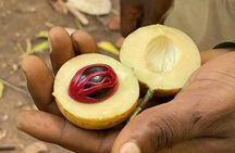 A private half day spice farm with a cooking lesson