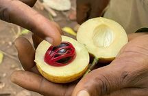 A private half day spice farm with a cooking lesson