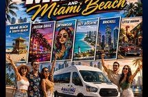 Scenic Full City Tour of Miami and MBeach. Everyday 2pm
