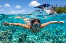 Florida Keys: Snorkeling and Sandbar