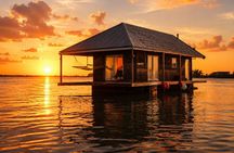 Florida Keys: Snorkeling and Sandbar
