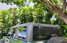 Private SUV Deluxe Hana Tour Scenic Road Adventure