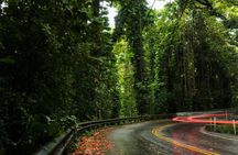 Private SUV Deluxe Hana Tour Scenic Road Adventure