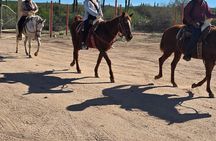 La Paz Private Domesticated Animals Adventure