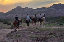 La Paz Private Domesticated Animals Adventure