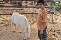 La Paz Private Domesticated Animals Adventure