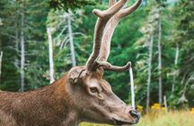 Two Rivers Wildlife Park Tour