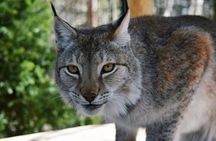 Two Rivers Wildlife Park Tour