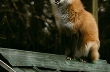Two Rivers Wildlife Park Tour