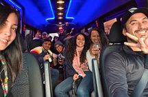 Maipo Valley Wine Tour: 4 Wineries, Great Views, Fun Tastings
