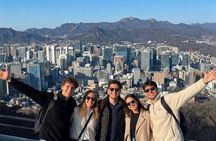 Private and Custom Highlights Tour from Seoul