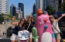 Private and Custom Highlights Tour from Seoul