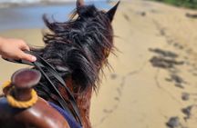 Puerto Plata: Amber Cove & Taino Bay Port Beach Horseback Ride