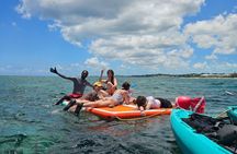 Nassau's #1 Kayaking Snorkeling Beach Bliss | Small Groups 6 Max